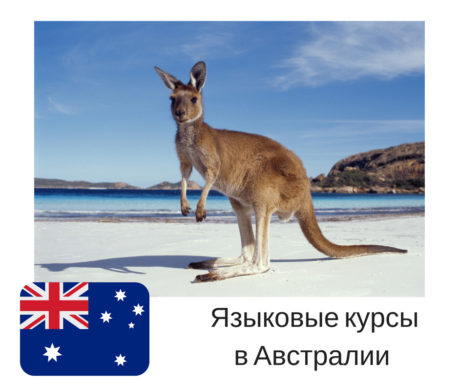 мовні курси Kaplan international English